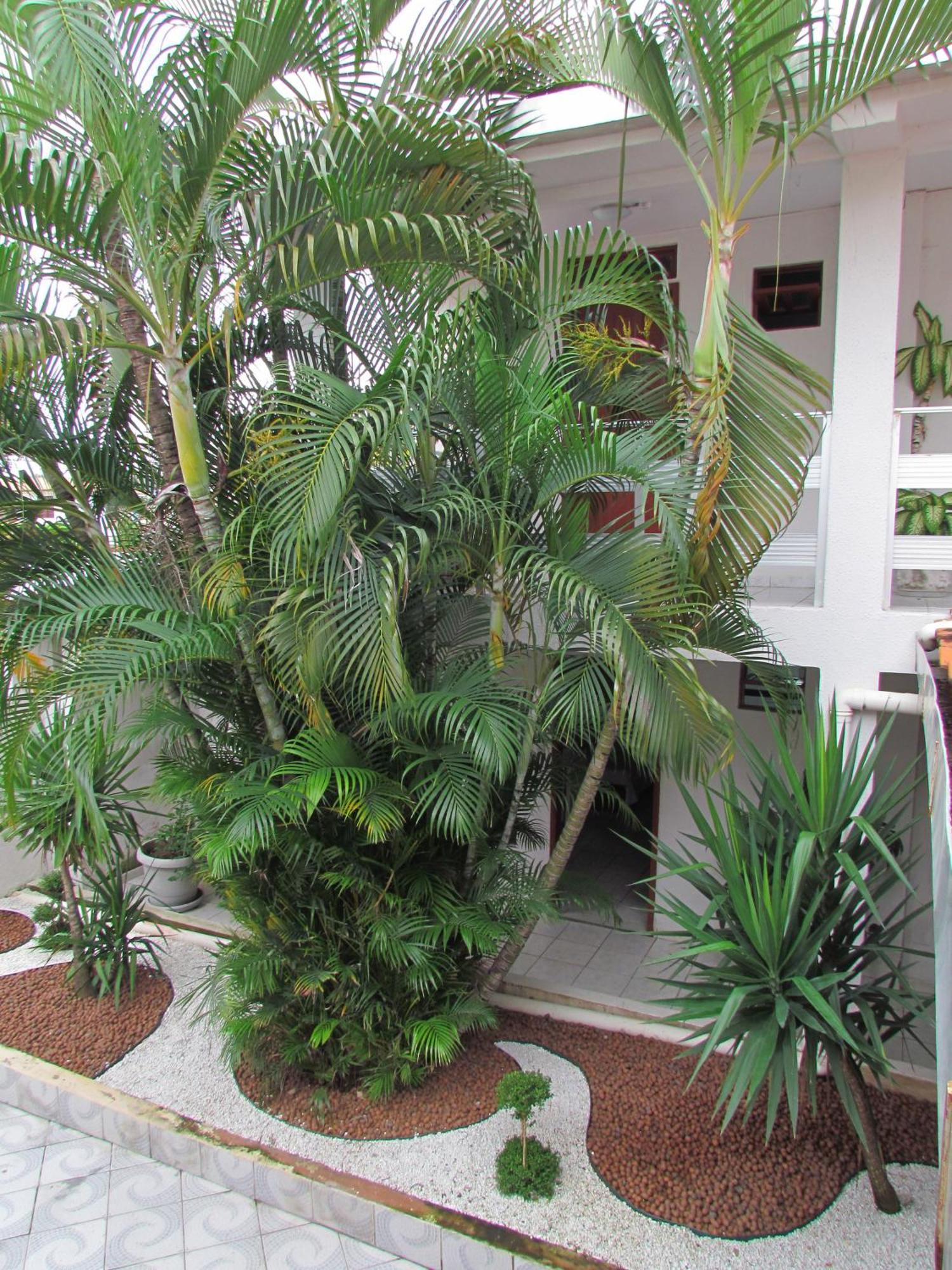 Pousada Nossa Casa Maceió المظهر الخارجي الصورة